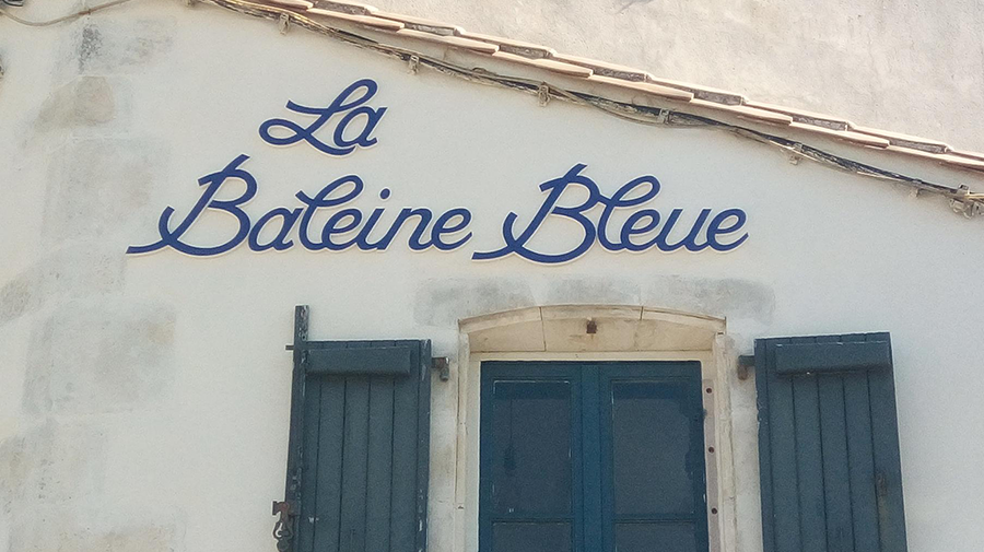 La Baleine Bleu Saint Martin de Ré