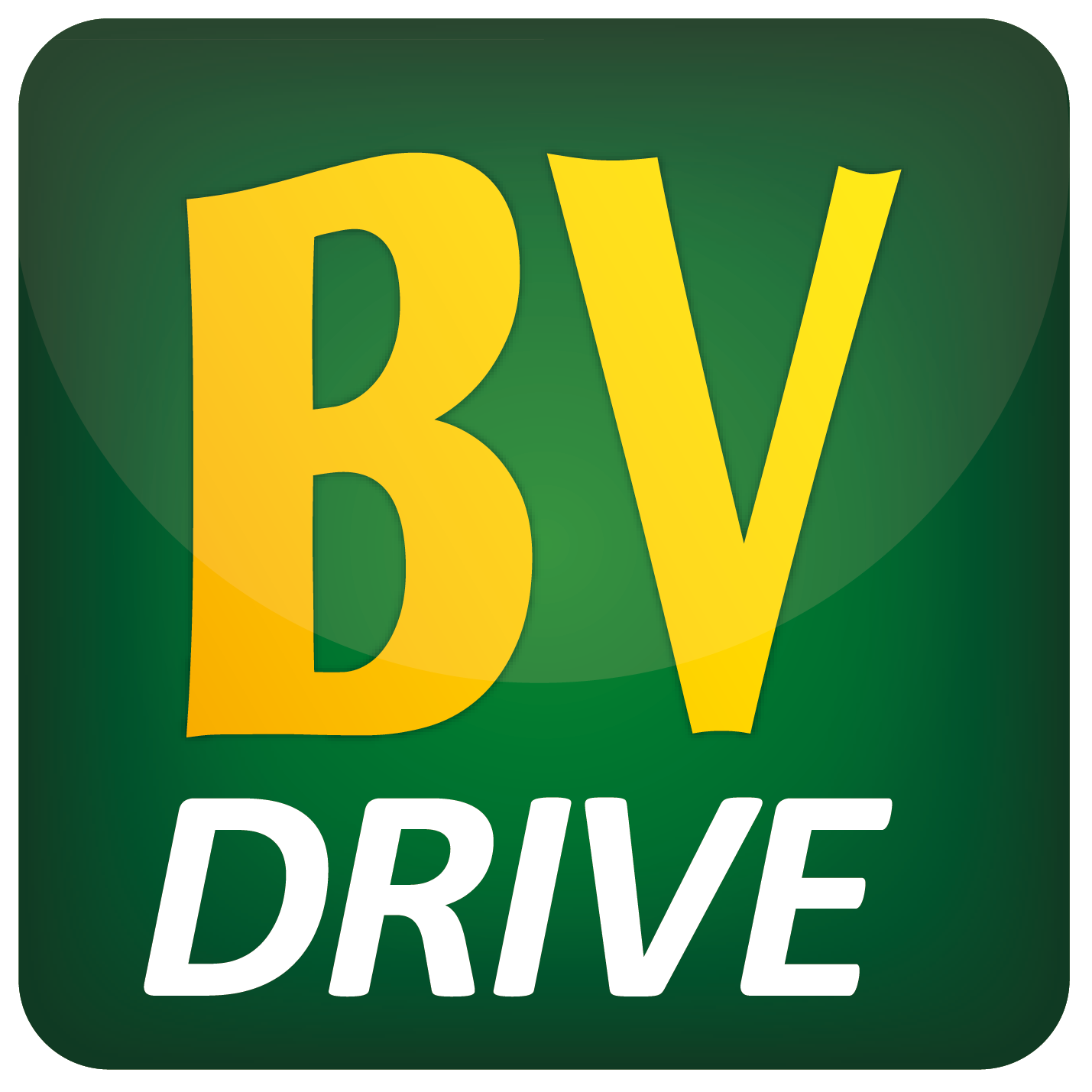 Logo BV